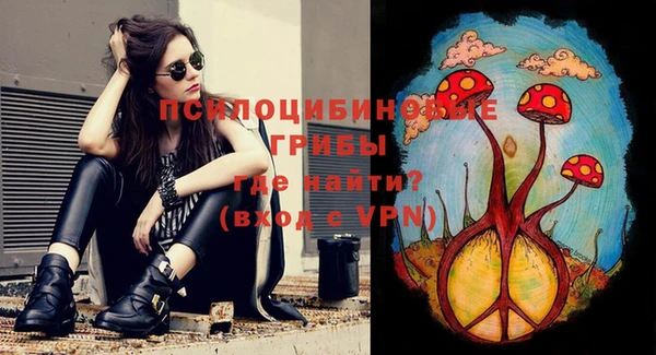 мяу мяу кристалл Богданович