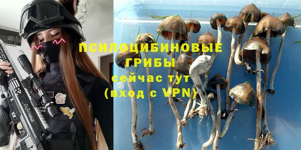 a pvp Беломорск