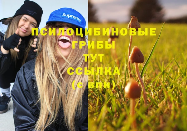 прущие крисы Богородск