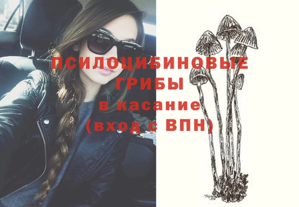 прущие крисы Богородск