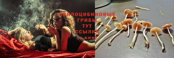 спайс Белоозёрский